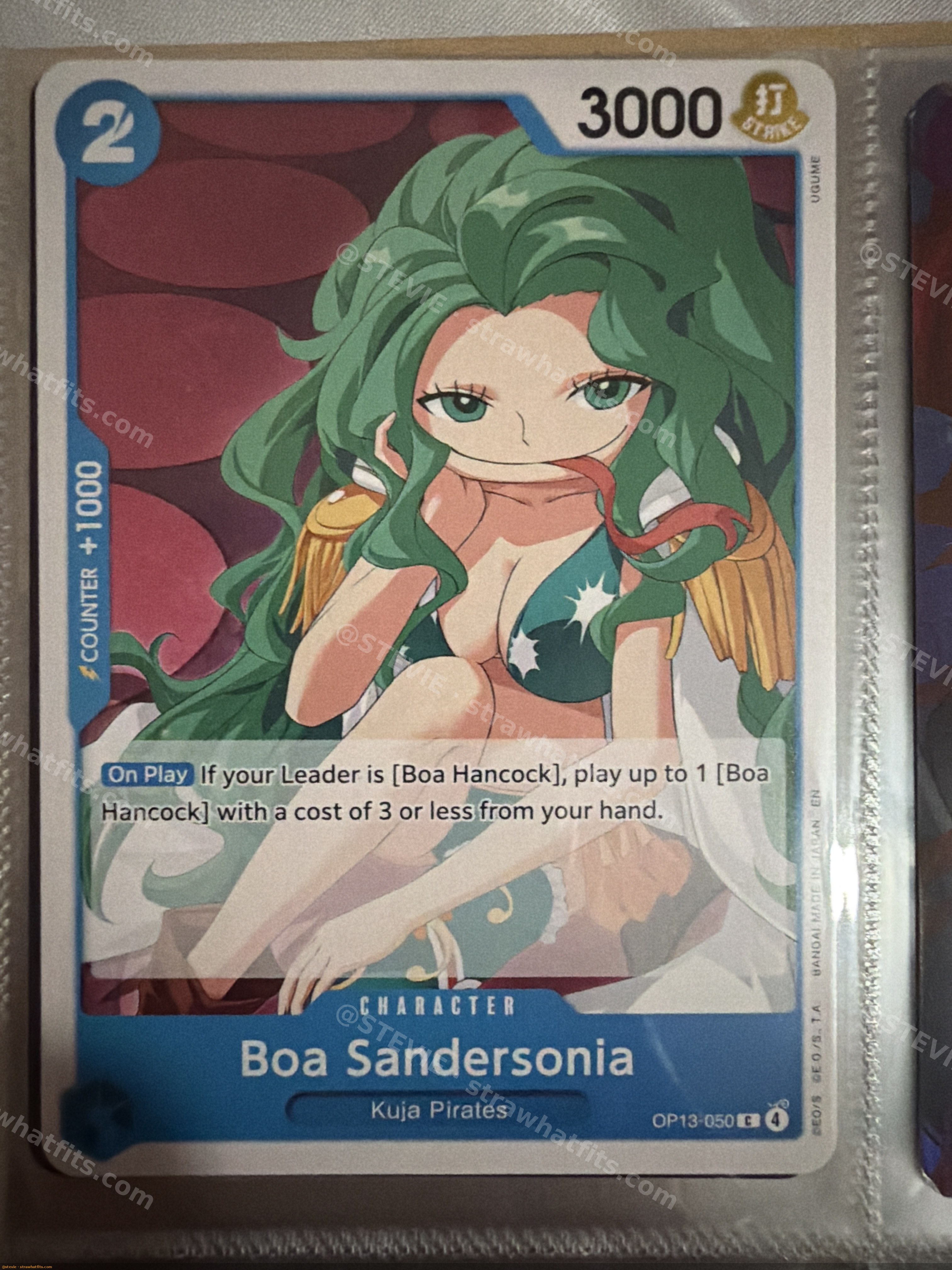 Boa Sandersonia 3000