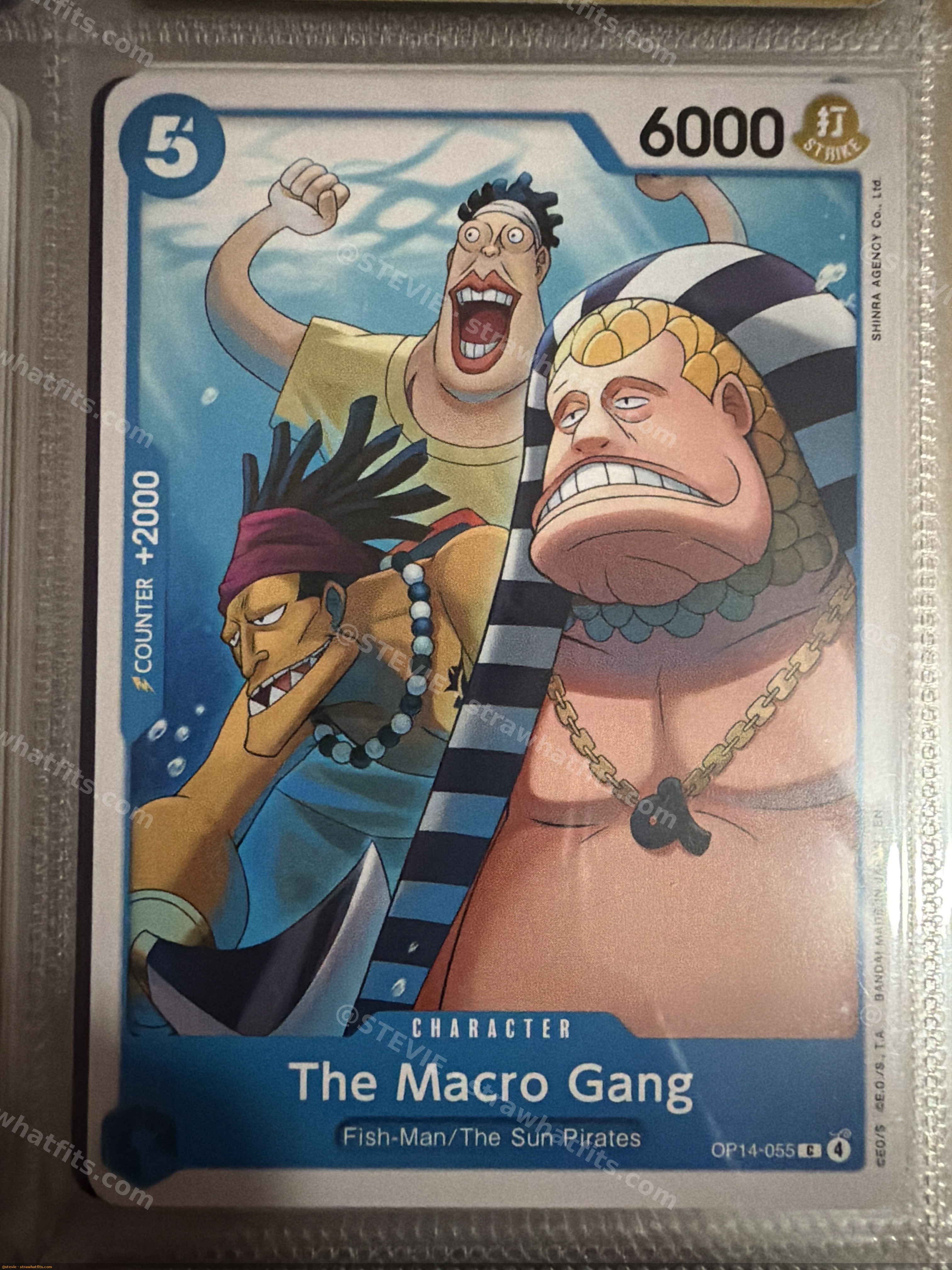 The macro gang 6000